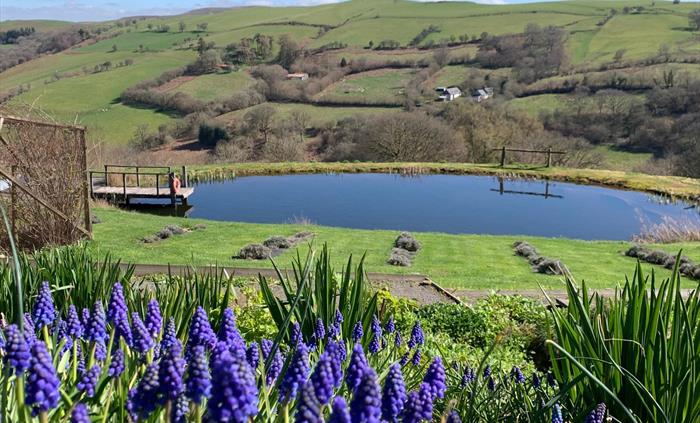 Swimming pond